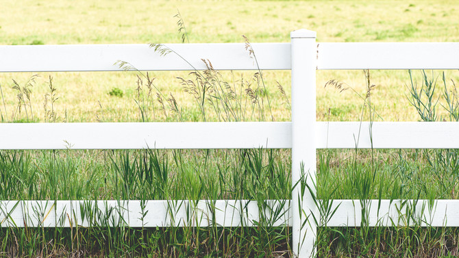 Fence talk.