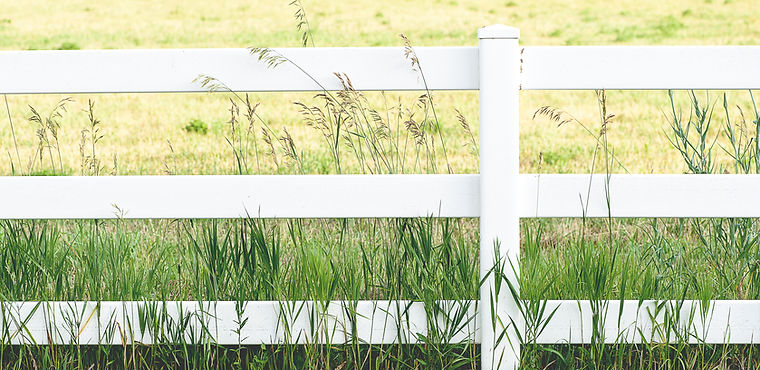 White Fence