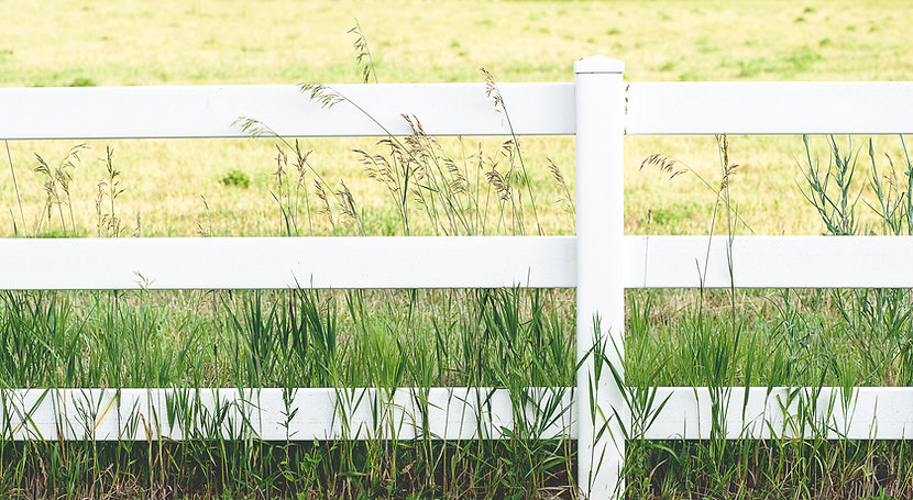 White Fence