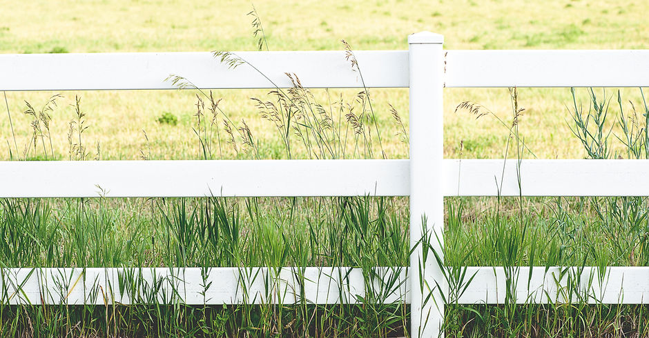 White Fence