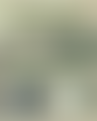 Lucy McKim Garrison | Collector and Credited with Musically Notating African American Music in 1862