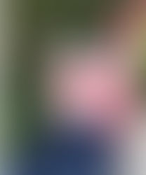 Meet Sophia of the Bright Red Sneakers