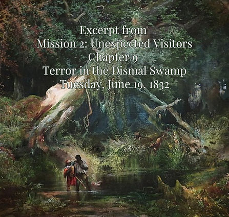 Enslaved Blacks on the Maritime Underground Railroad