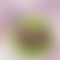 Late Bloomer | Erma Bombeck