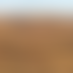 Prairie Dust | A Historical Family Saga of Homesteading on the Eastern Colorado Prairie| Chapter 2, Excerpt 3