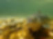 IMG_3769.JPEG