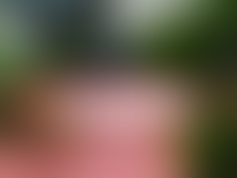 Amazon stock dips 8% in premarket trading on guidance miss, soft consumer trends