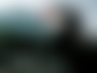 Asian stocks sink amid rate woes, China rallies on sovereign fund buying