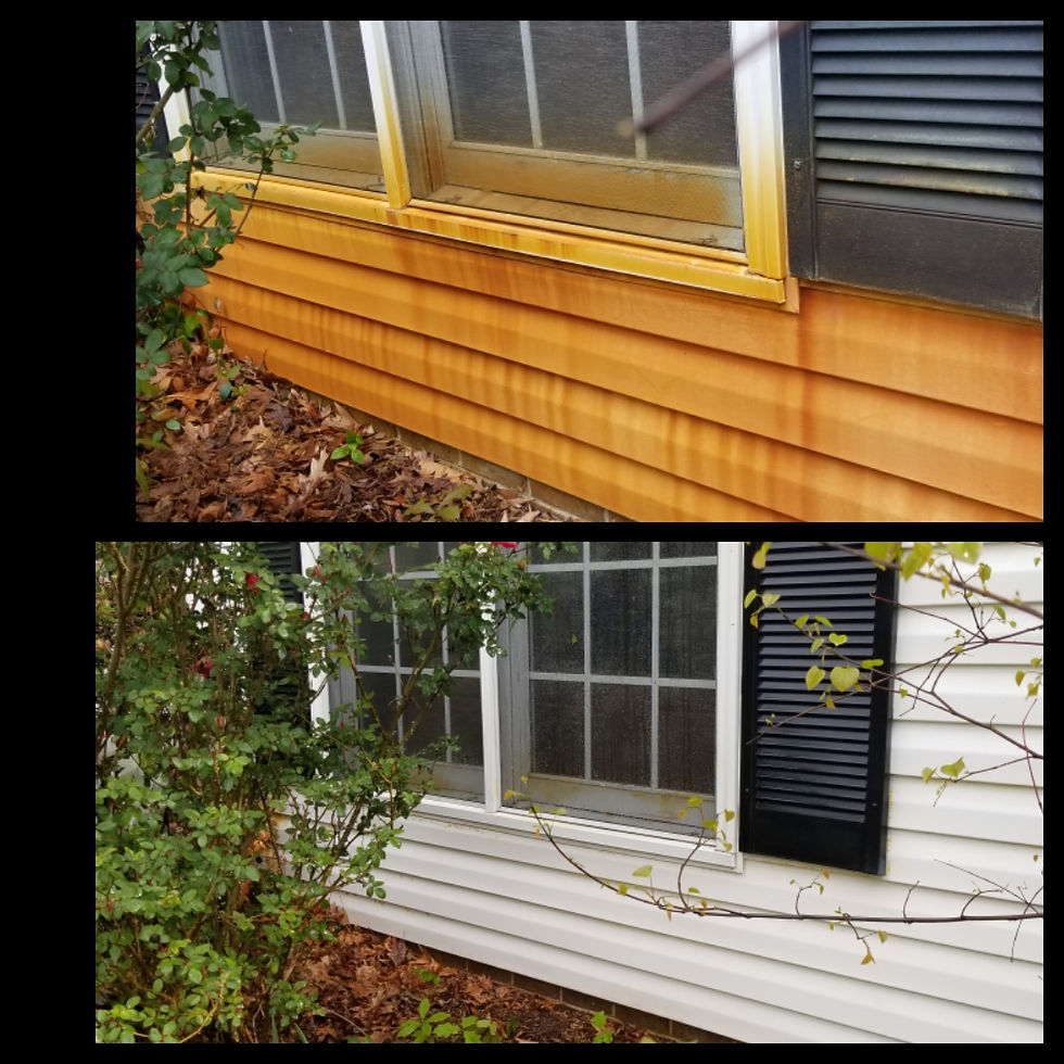 Pressure Washing Services