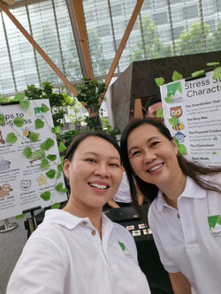 Hazel Tan Growth Luminance coaching