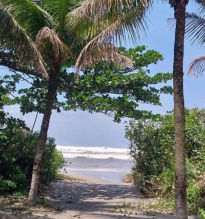 WhatsApp Image 2026-04-21 at 09.34.32 (3).jpeg