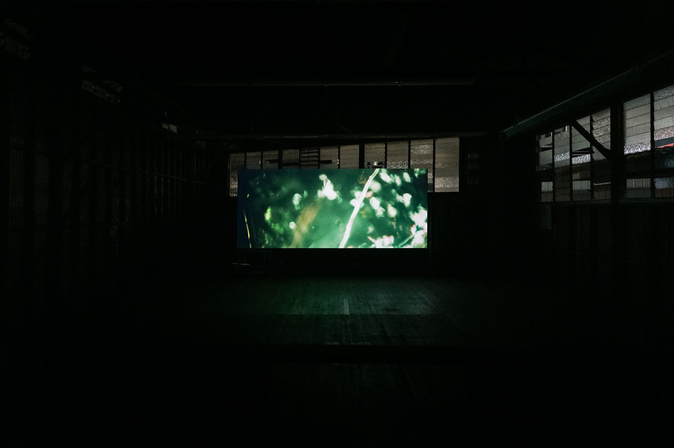 Hillhouse_A-Simple-Lens_Wreckers-Upstairs_LR-4 (1).jpg