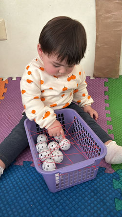 PHOTO-2024-11-05-16-28-54