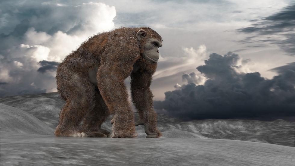 APE
