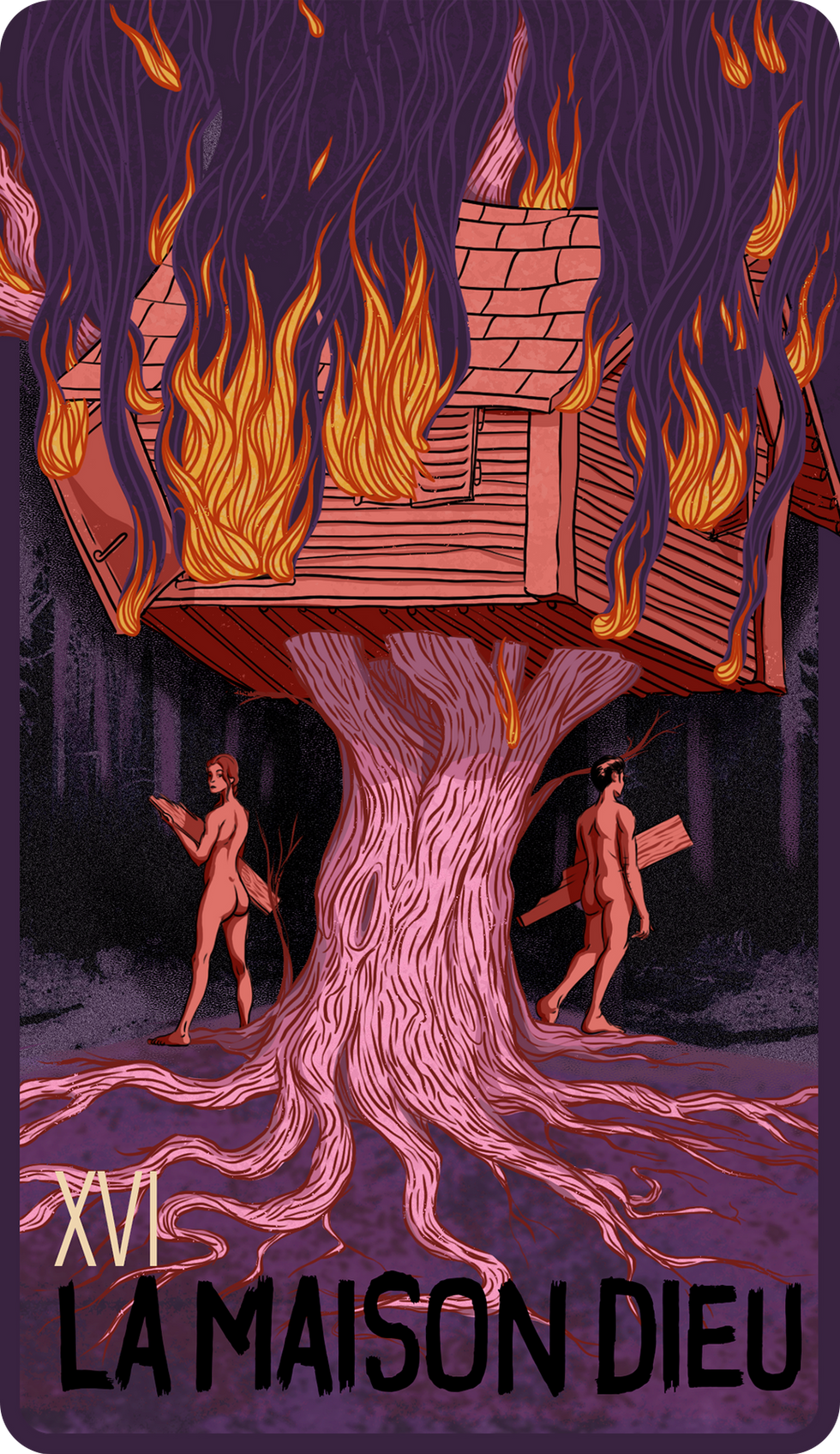 XVI - La maison dieu