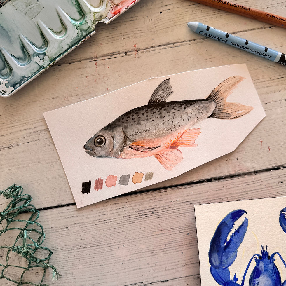 Miniaturbild: Mixed Media Meerestiere AUFZEICHUNG