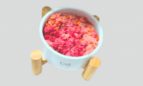 Freshfood  (1600 x 900 px) (500 x 300 px).gif