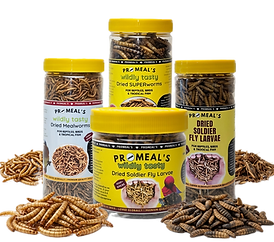 Dried Insect product_edited.png