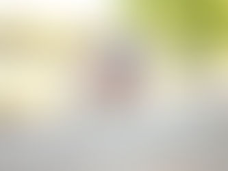 RVF Bella of the Ball