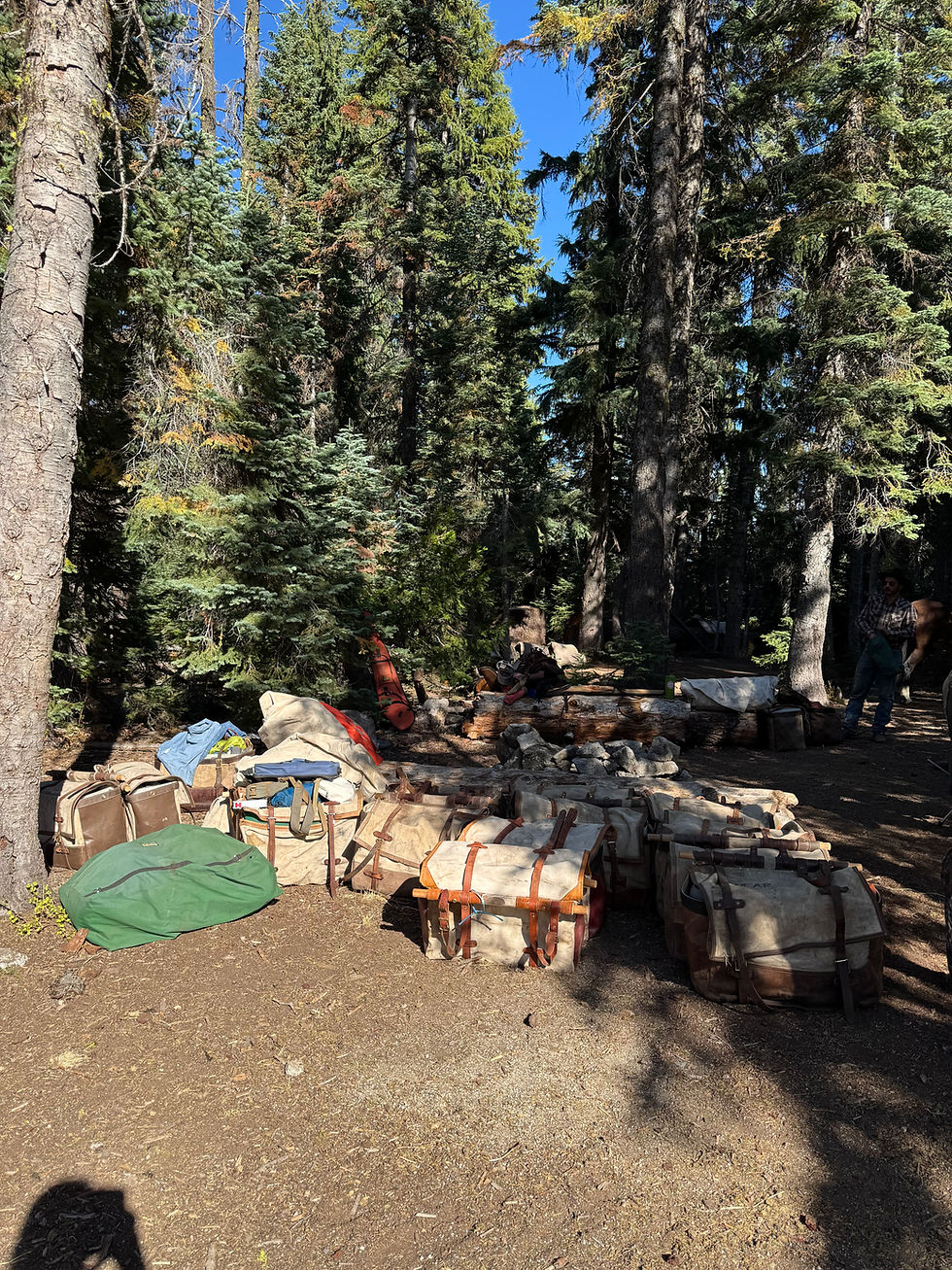 Panniers and camping gear prepared for backcountry pack service in Northern California