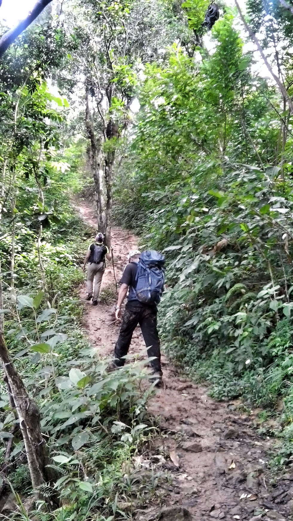 Cerro Martha
