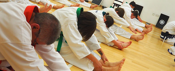 Health Benefits of Martial Arts