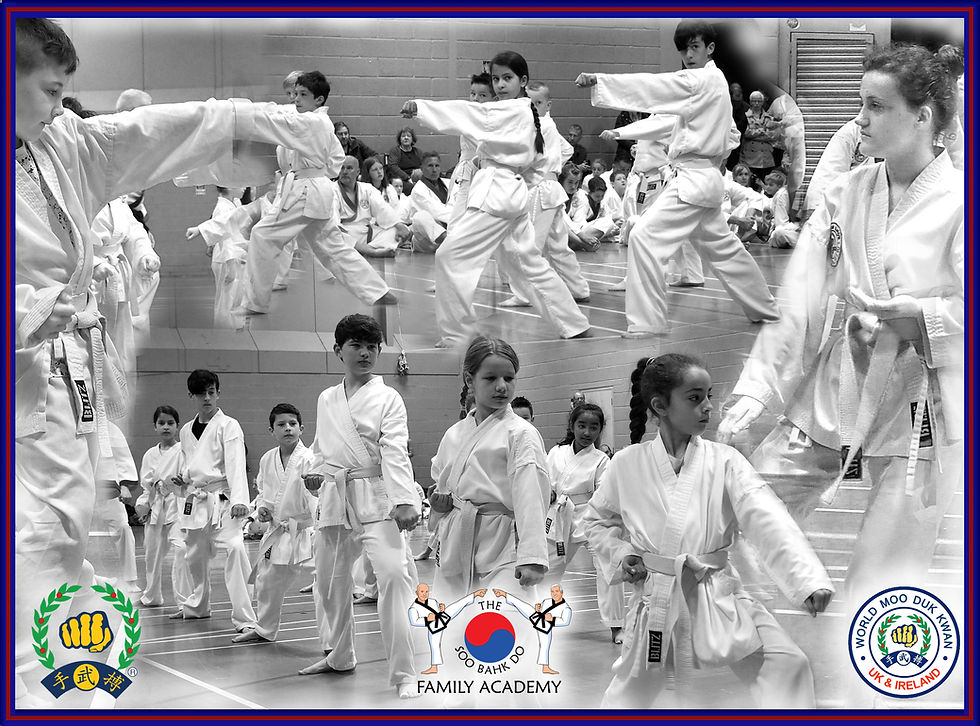 UK Soo Bahk Do September Grading.