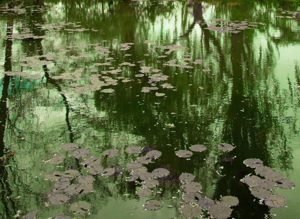 waterspiegeling 5 .jpg