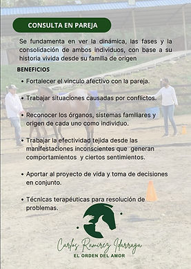 Imagen de WhatsApp 2024-06-28 a las 23.21.07_540821ba.jpg