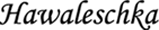 logo.gif