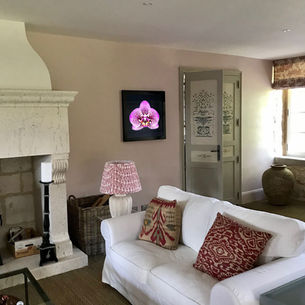 Naturalium 6 hanging in clients living room