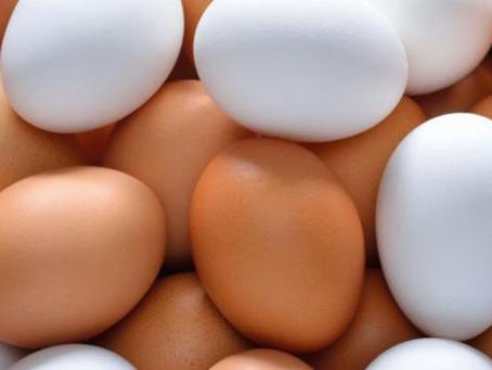 Egg Selling in Singapore – Reliable Suppliers for Businesses & Retailers