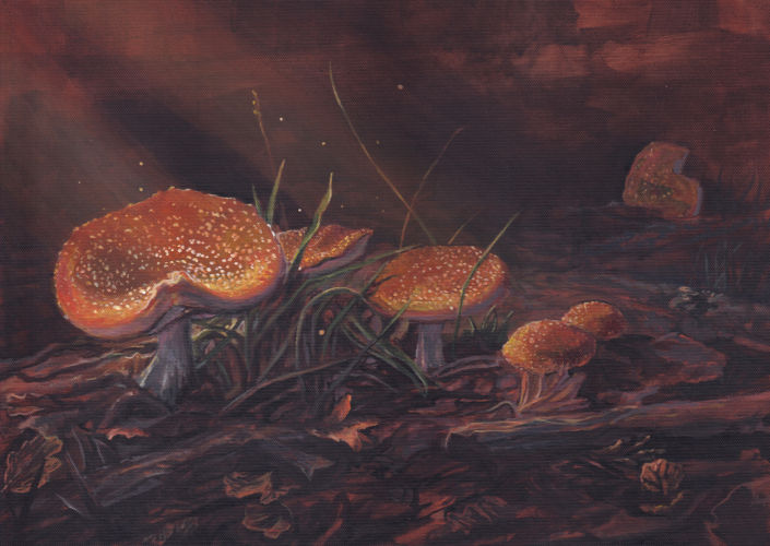 A painting of fly agaric mushrooms or amanita toadstools on the forest floor.