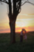 Outdoor wedding venue