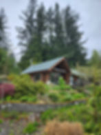 Metal Roofing