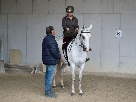 Novemberkurse mit Desmond O'Brien