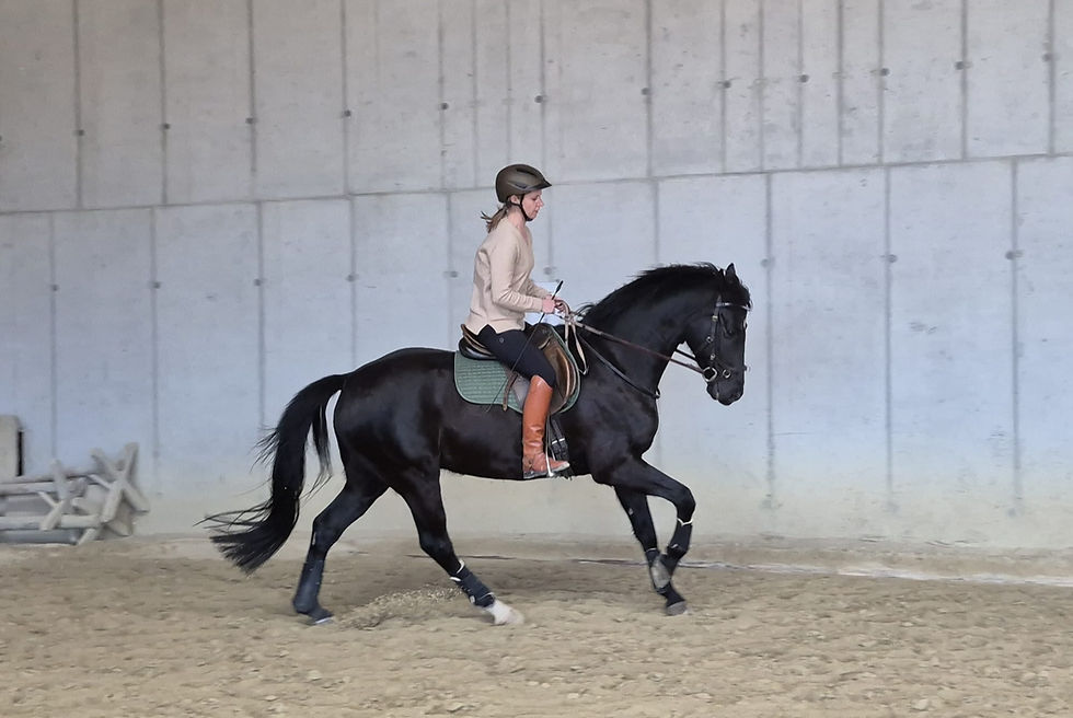 Rückblick März-Kurse mit Desmond O'Brien
