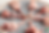 생오리2-2500x1600
