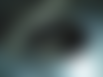 Exploring Stainless Steel Grease Traps: Essential Solutions for Commercial Kitchens