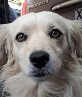 20190418_150157.jpg