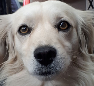 20190418_150157.jpg