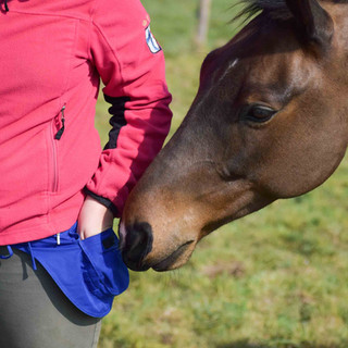 Sacs ceinture - banane -équipement equitation-cavalier