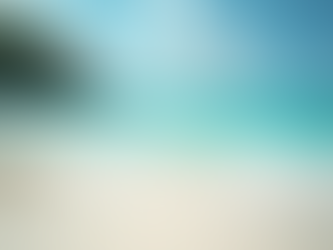 Top Montego Bay Tours for Every Traveler