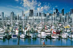 Boats-waterfront-Auckland-New-Zealand.jpg