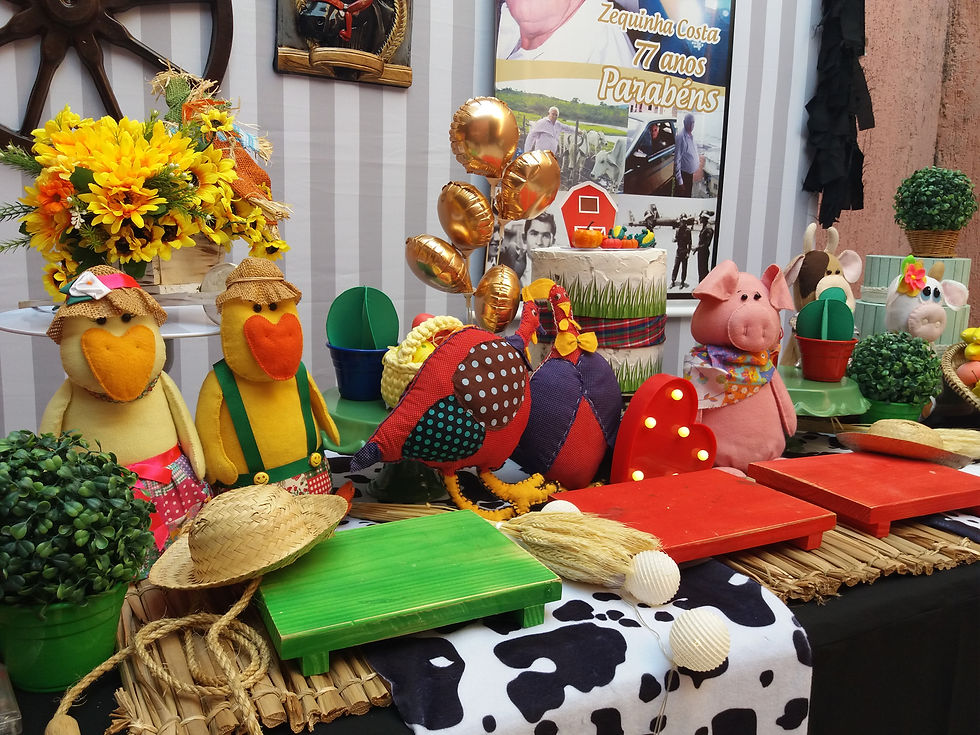 Festa Fazendinha