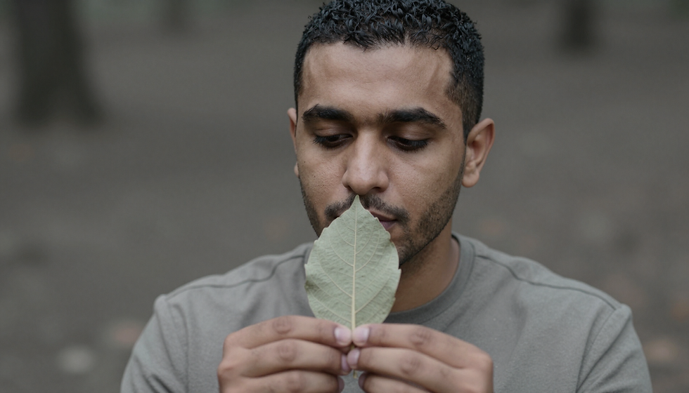 Forest Bathing: Wellness and Practices Workshop