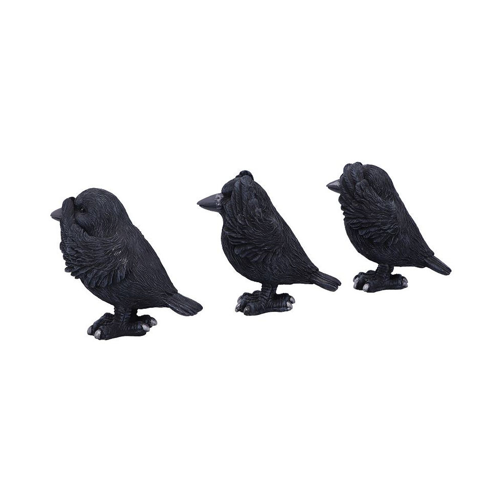 Thumbnail: THREE WISE RAVENS