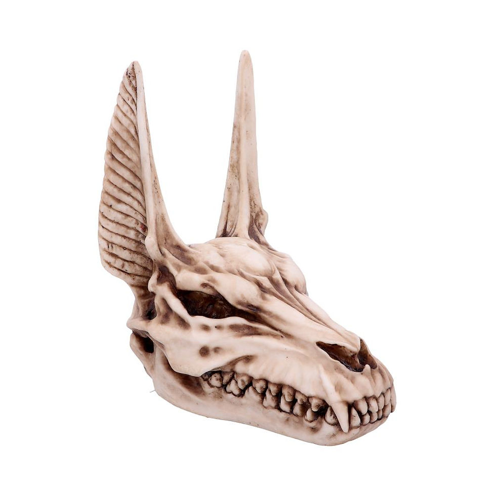 Thumbnail: ANUBIS SKULL 17cm