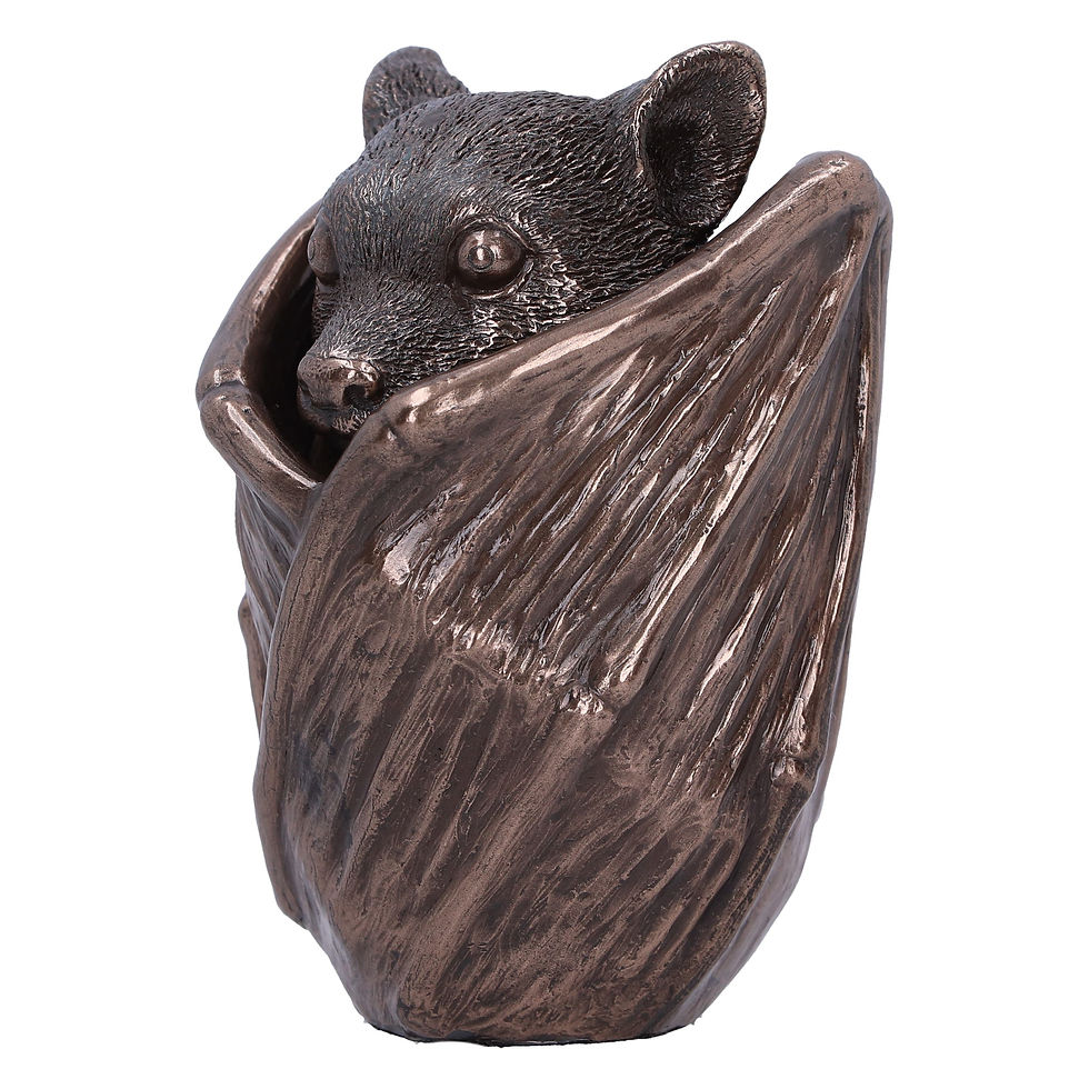 Thumbnail: BAT SNUGGLE BOX 8.5cm