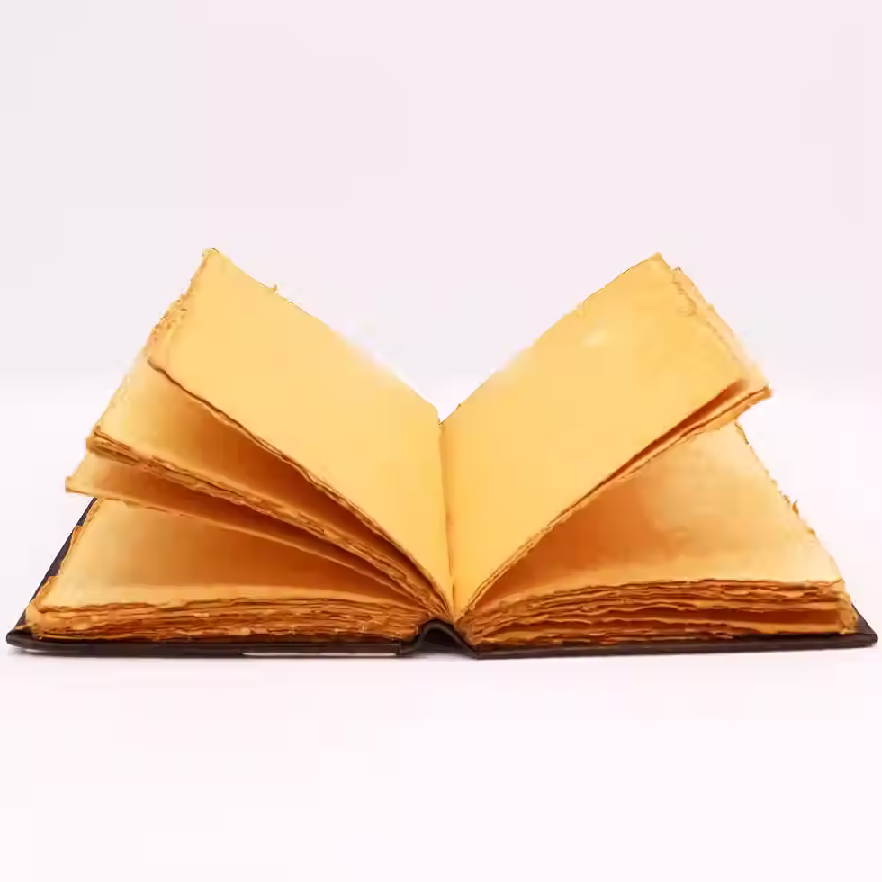 Thumbnail: ROSE LEATHER JOURNAL 26x18